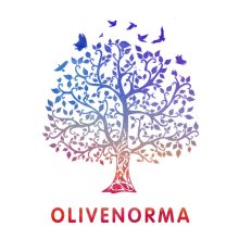 Olivenorma – December Birthstone 20% OFF / CODE: DB20